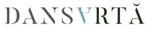 logo-danzar